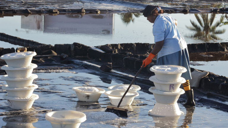 Michèle Mosses-Dubois - Lady-worker-at-the-salt-pans